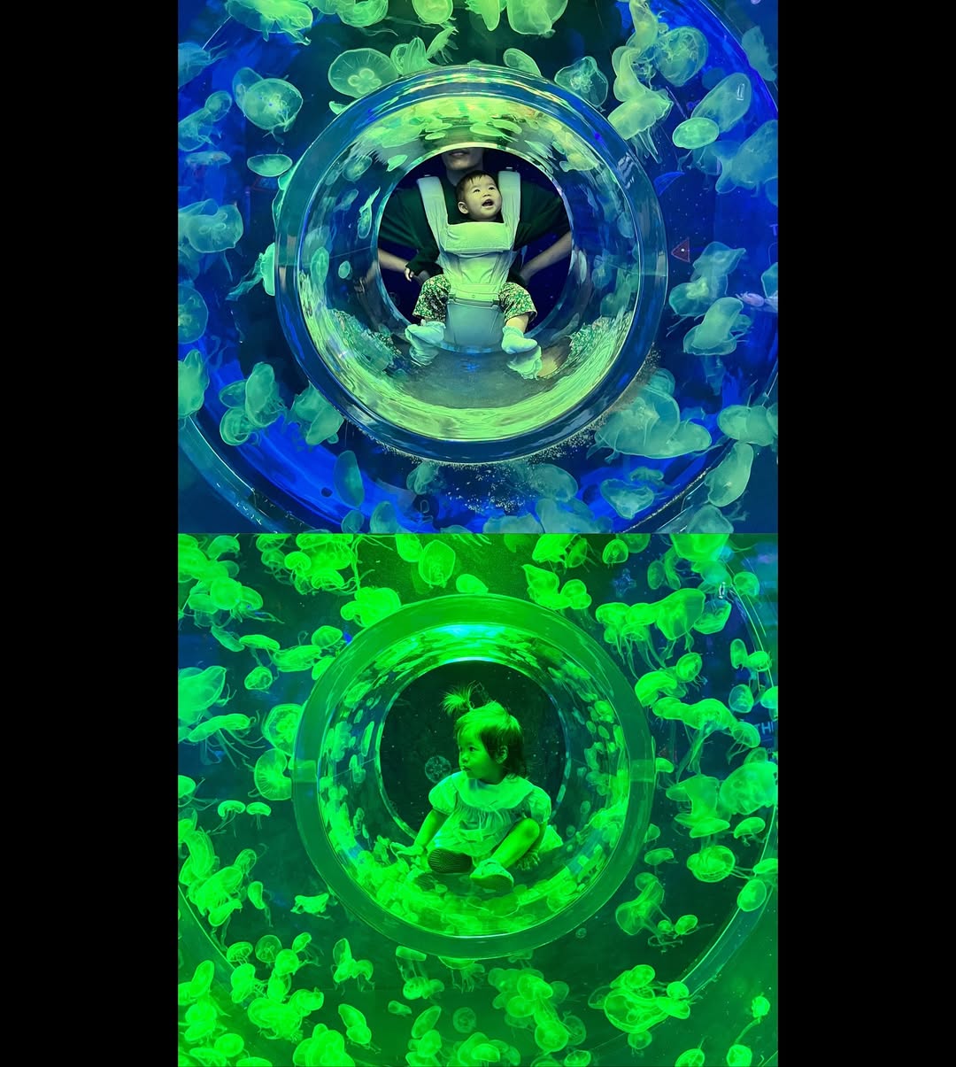 Bangkok - Sea life bangkok Ocen world