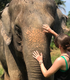 Krabi - Ao Nang Elephant Sanctuary
