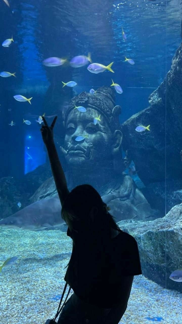 Phuket: Aquaria