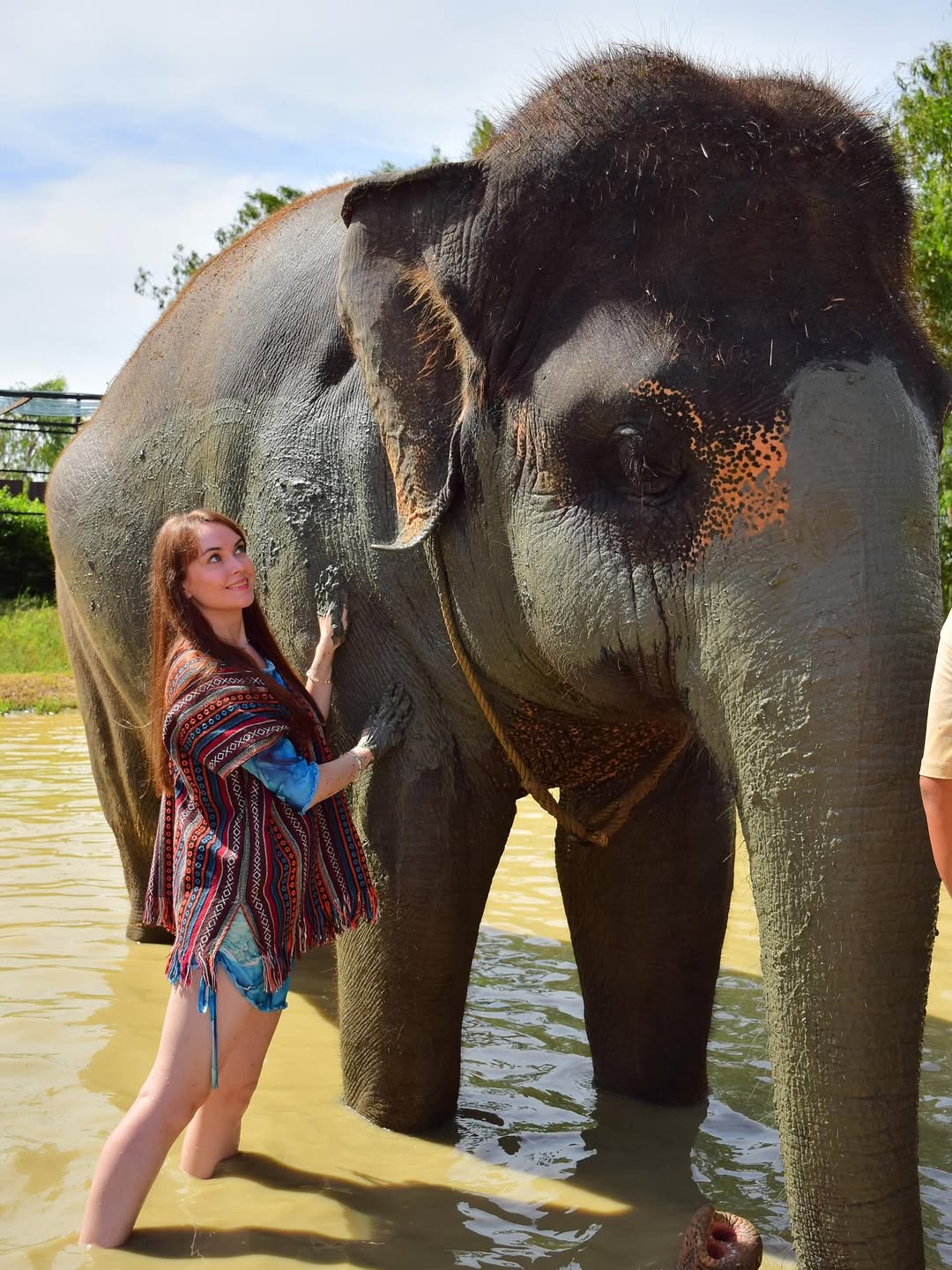 Pattaya - Elephant Jungle Sanctuary Half-Day Tour + Lunch
