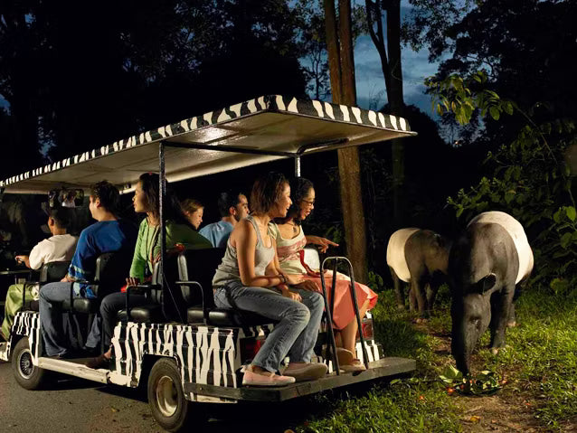 Chiang Mai - Night Safari