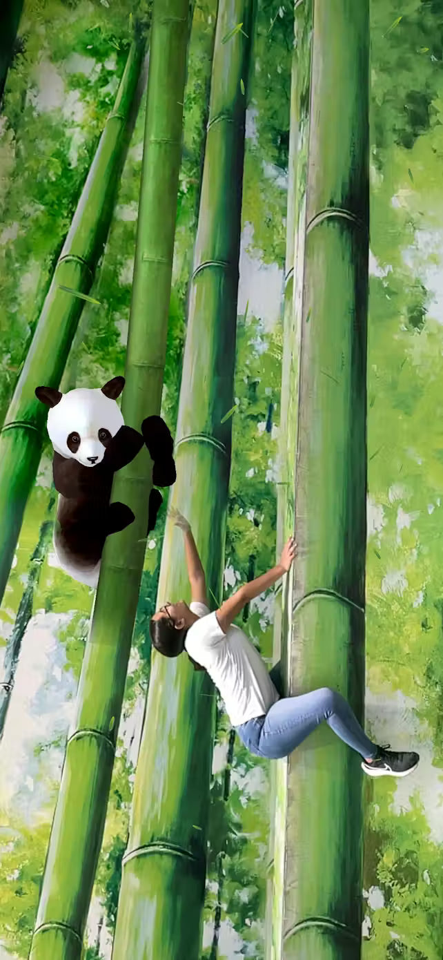 Phuket - AR Trickeye Museum