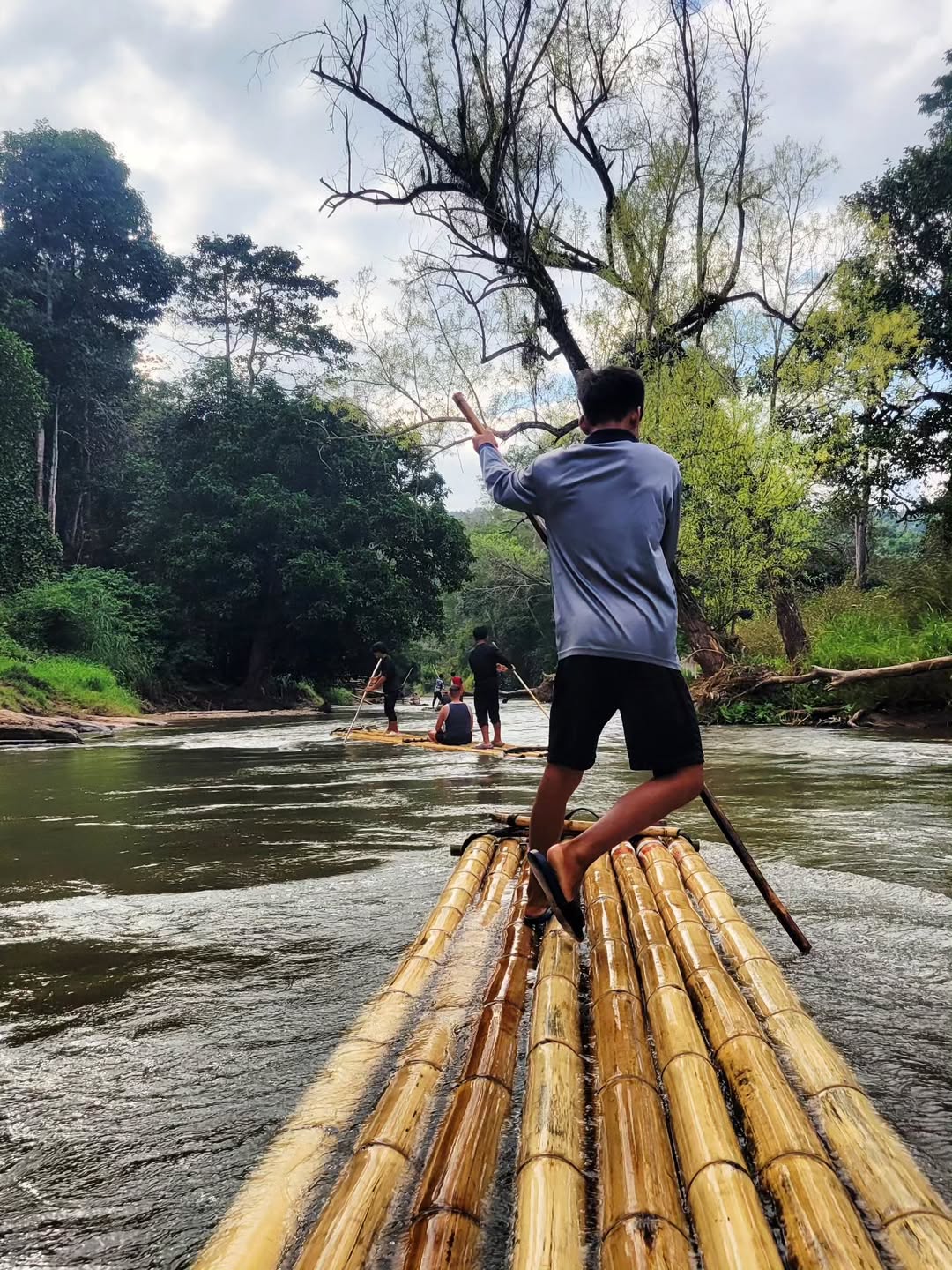 Chiang Mai - Living Green Elephant Sanctuary