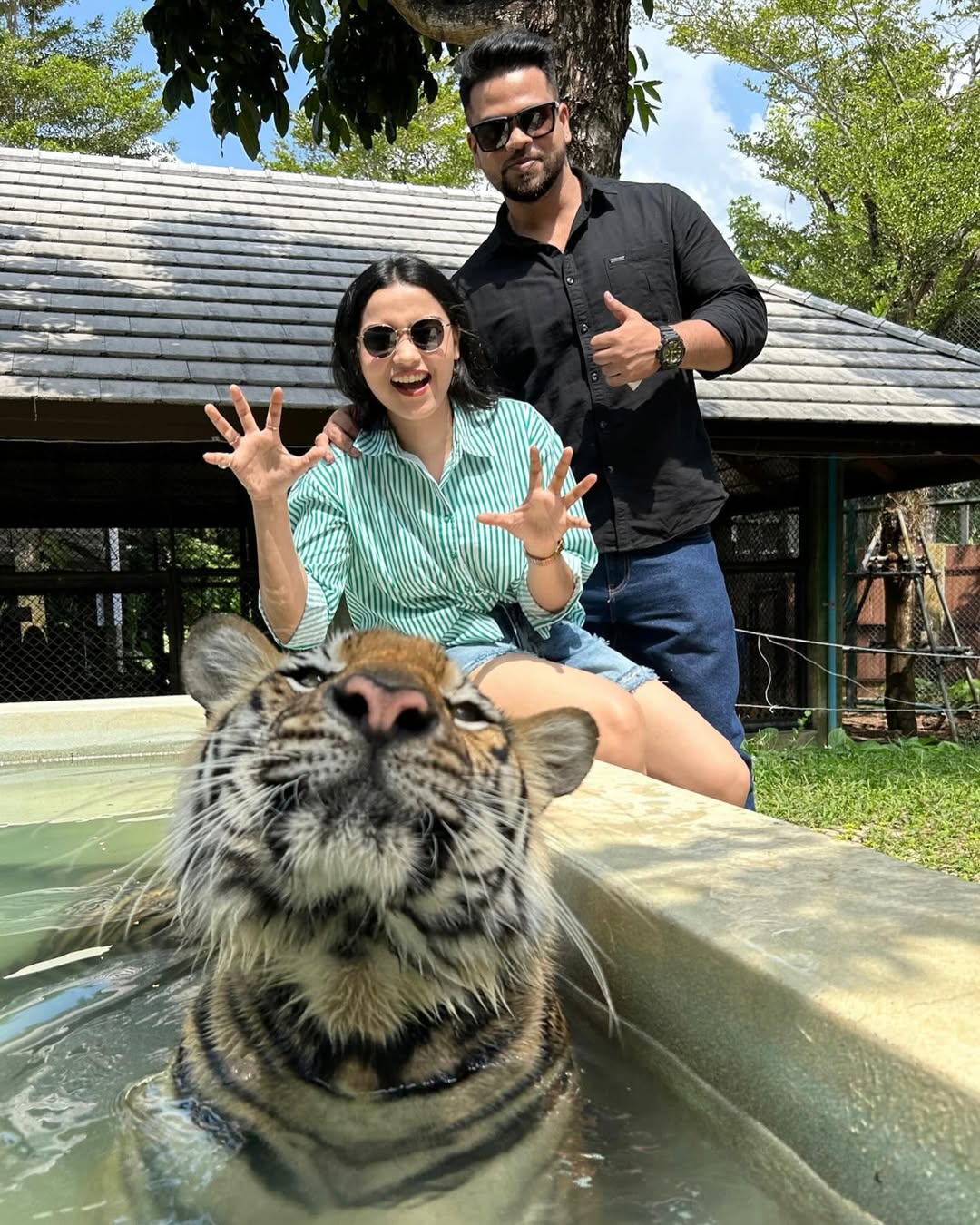 Phuket – Tiger Park