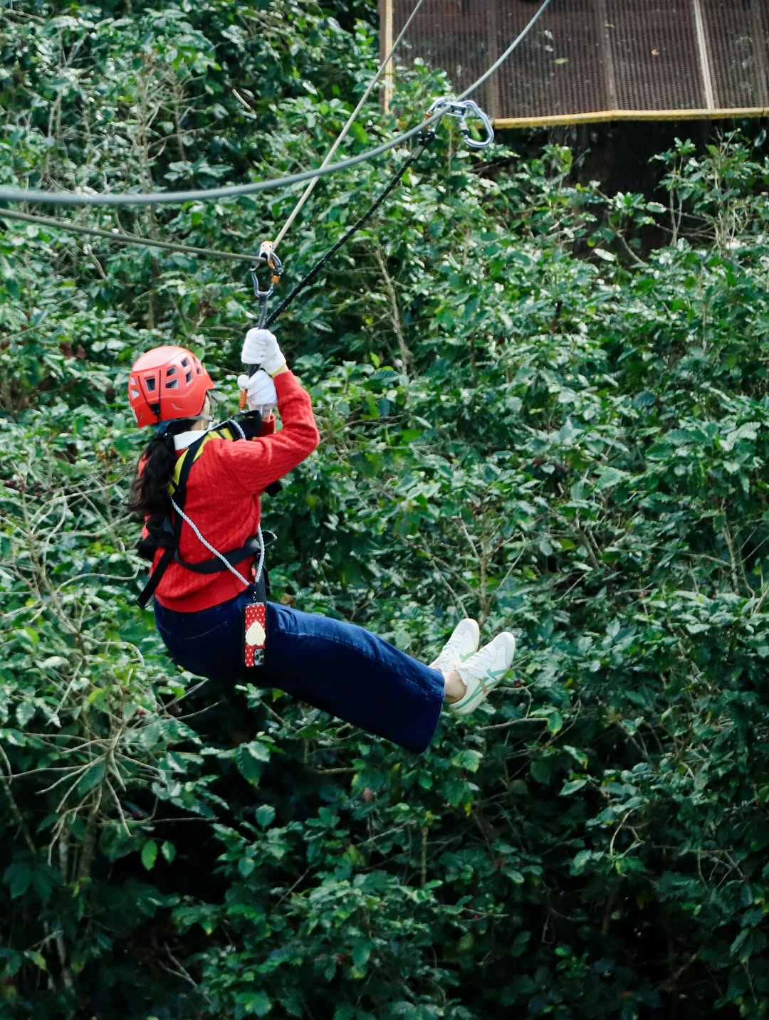 Chiang Mai - Kingkong Smile Zipline