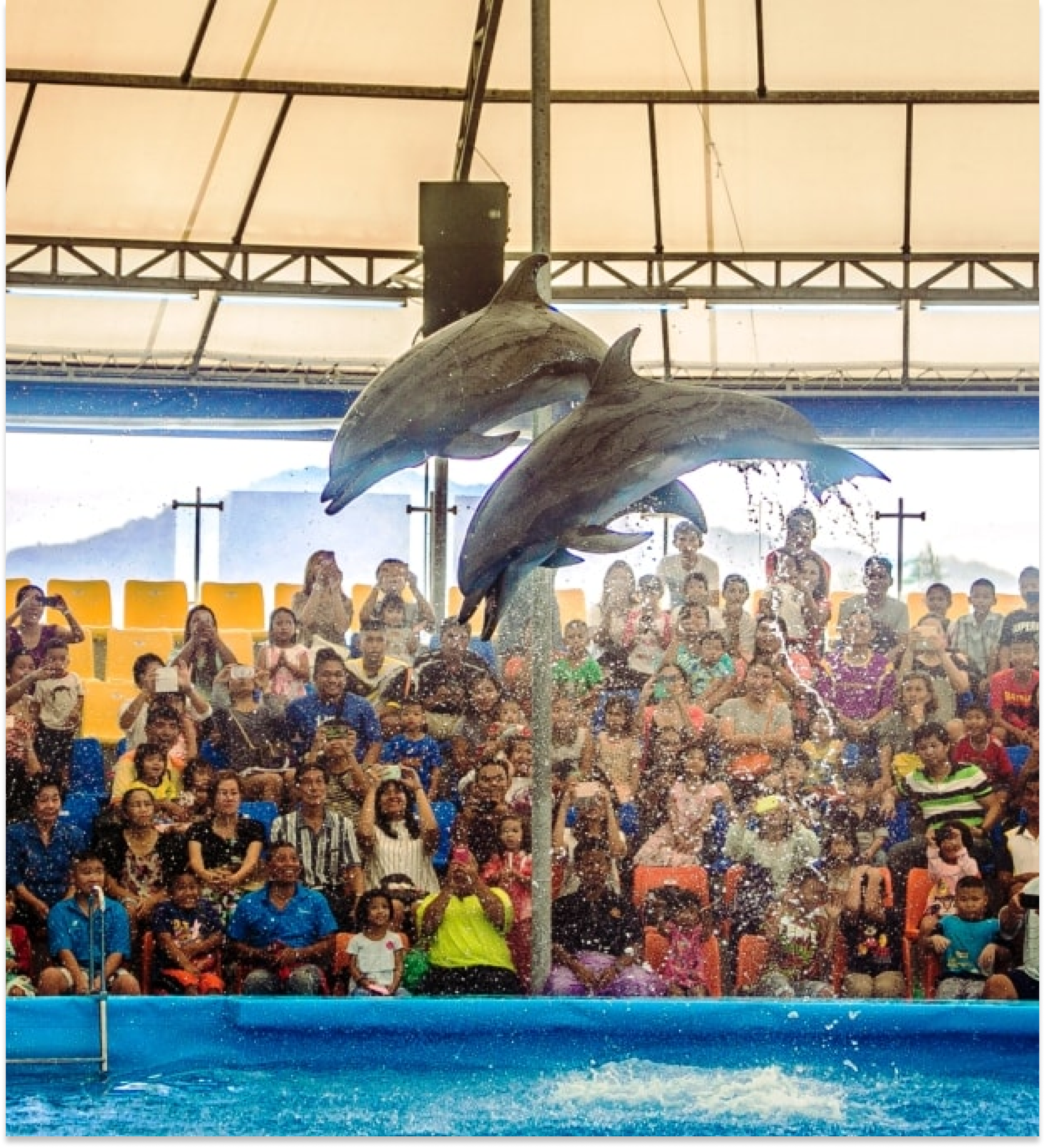 Phuket - Dolphins Bay