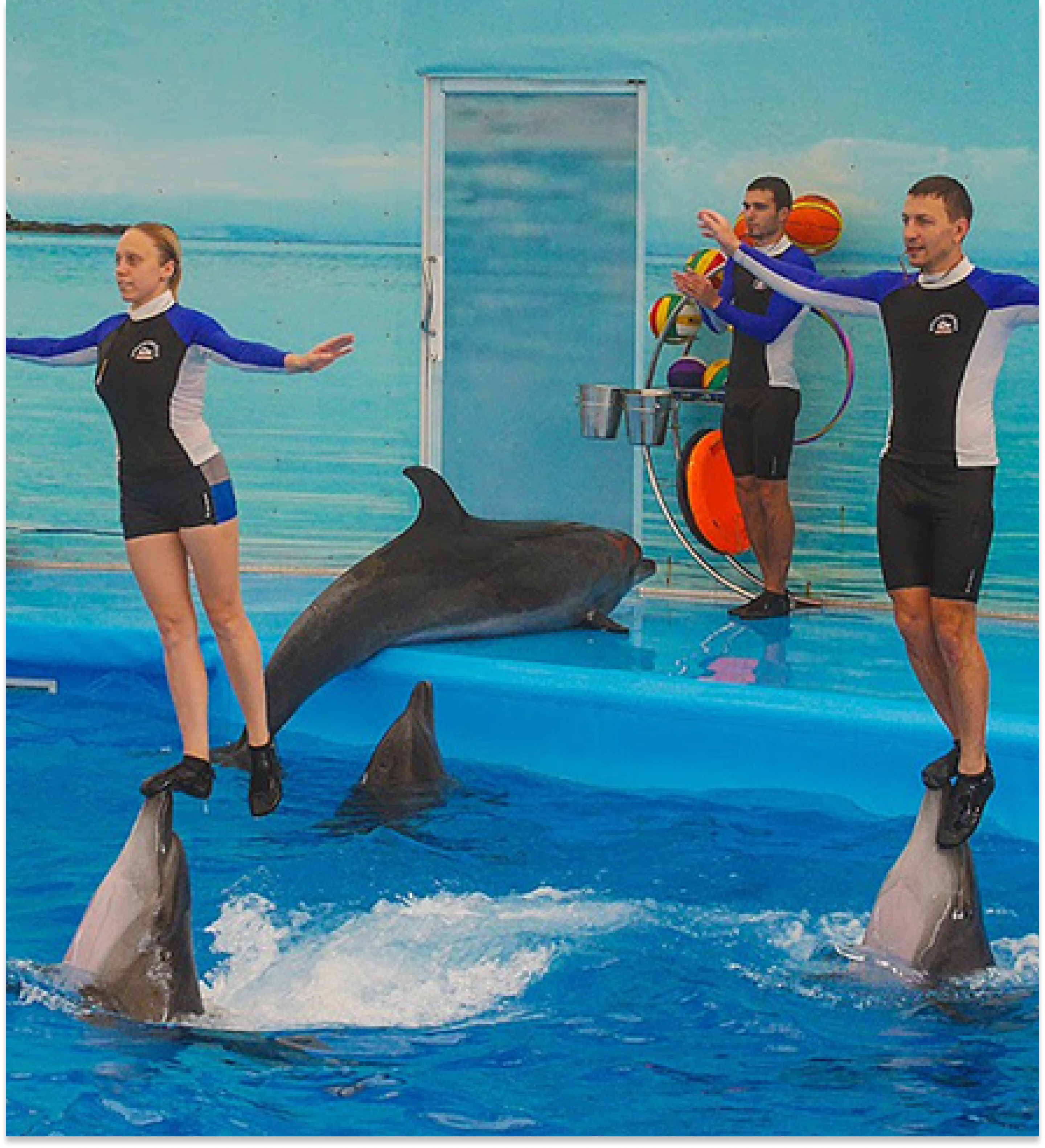 Phuket - Dolphins Bay