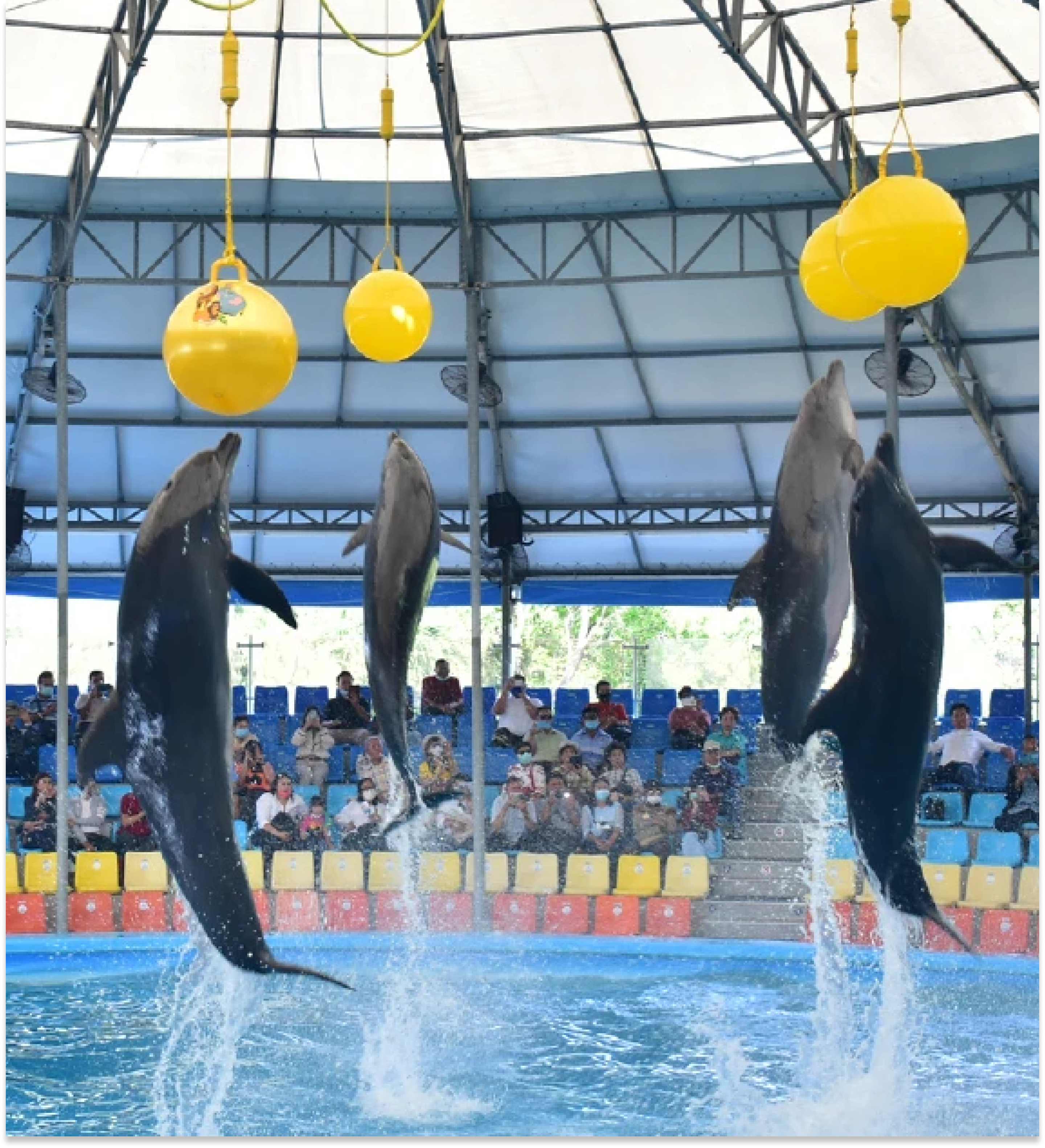 Phuket - Dolphins Bay