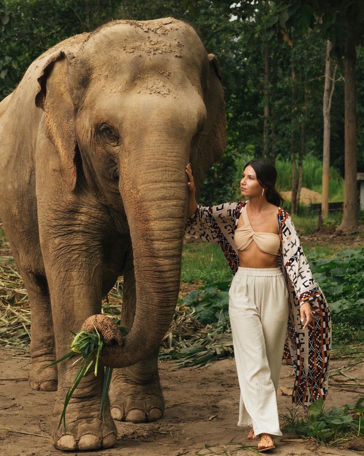 Koh Samui: Elephant Jungle Sanctuary