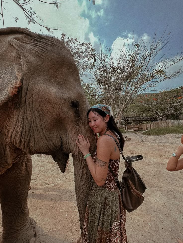 Koh Samui: Elephant Jungle Sanctuary