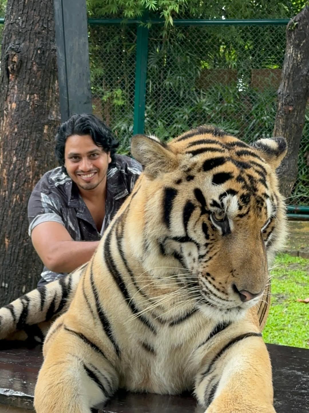 Phuket - Tiger Kingdom