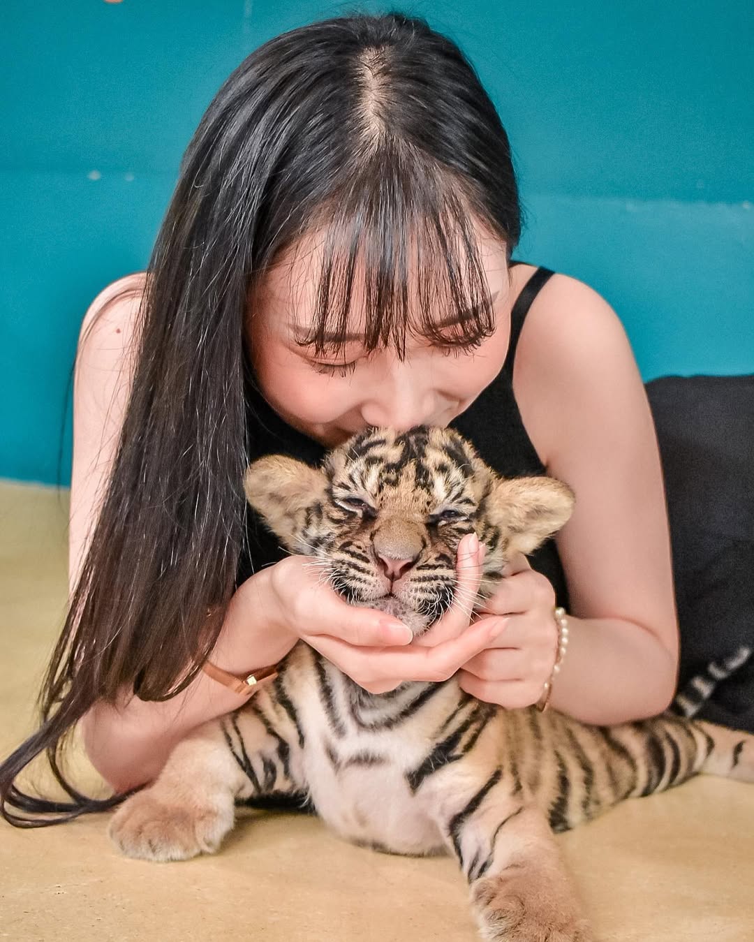 Pattaya - Tiger Park