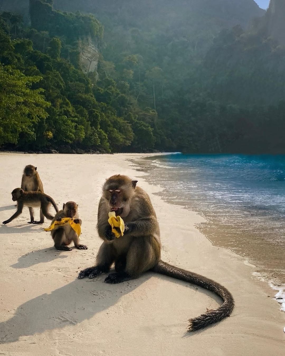 Koh Samui - 2 Island Tour SIC