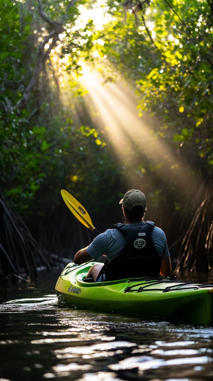 Krabi - Kayaking Adventure Tour at Ao Thalane Mangrove Forest