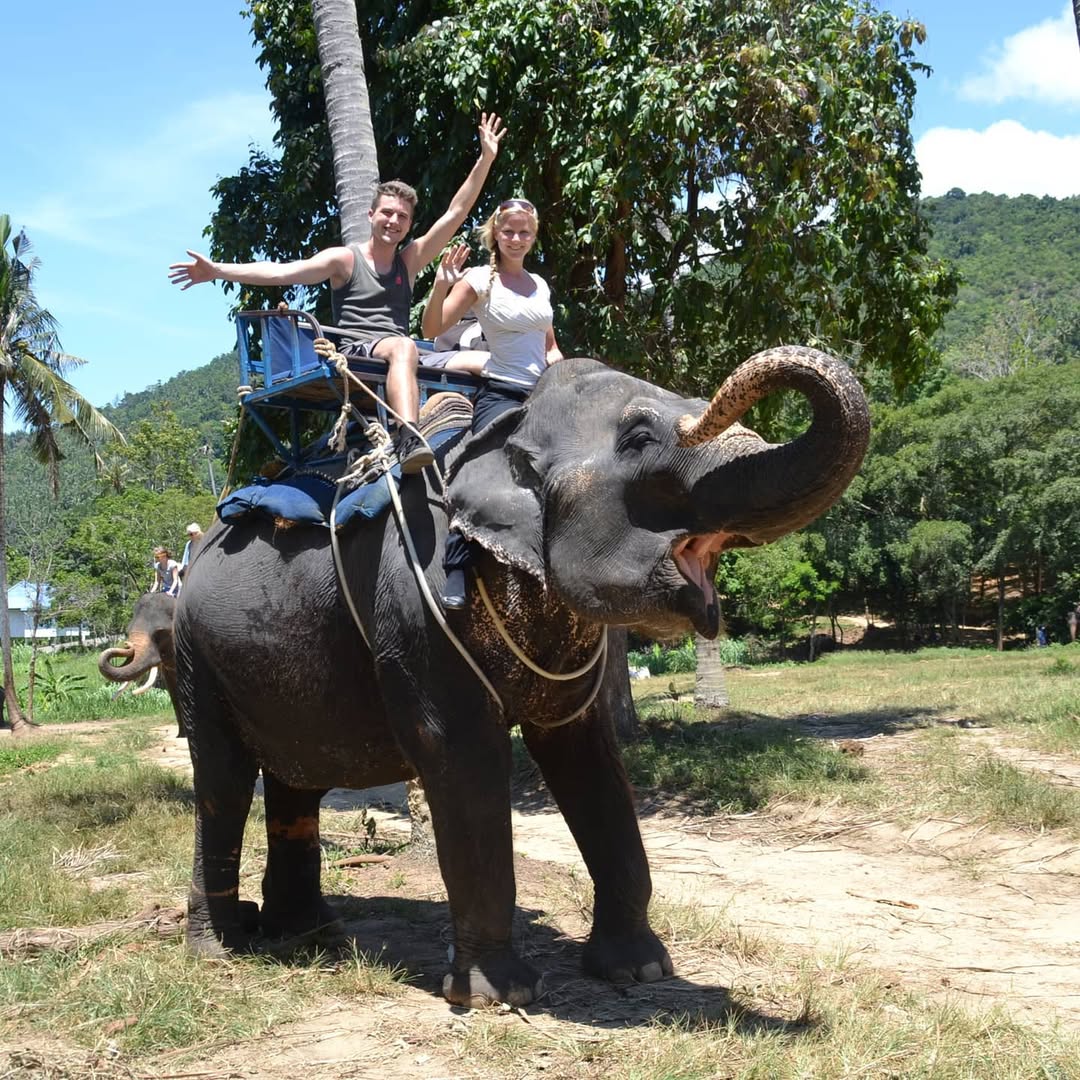 Koh Samui Safari Tour - SIC