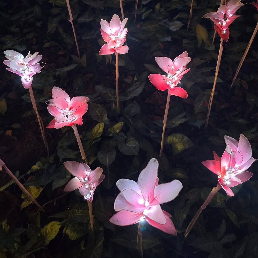 Bangkok - Nasatta Light Festival