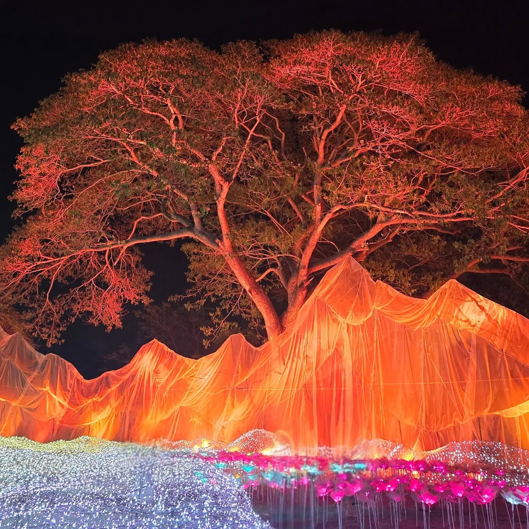 Bangkok - Nasatta Light Festival