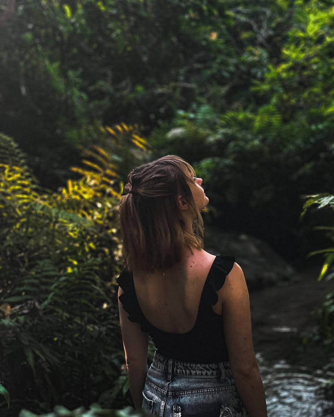 Chiang Mai- Sticky Waterfall