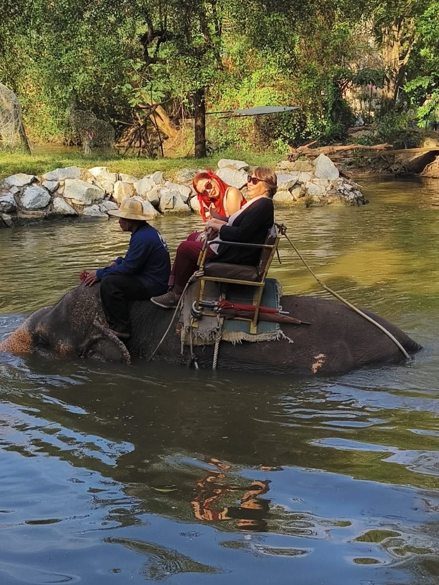 Pattaya - Elephant Village