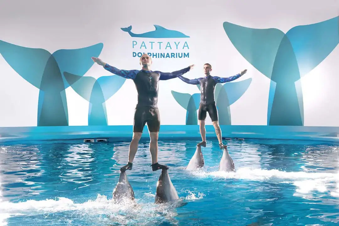 Pattaya - Dolphinarium