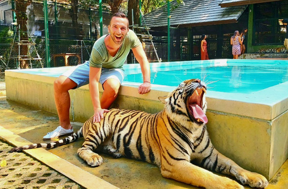 Phuket – Tiger Park