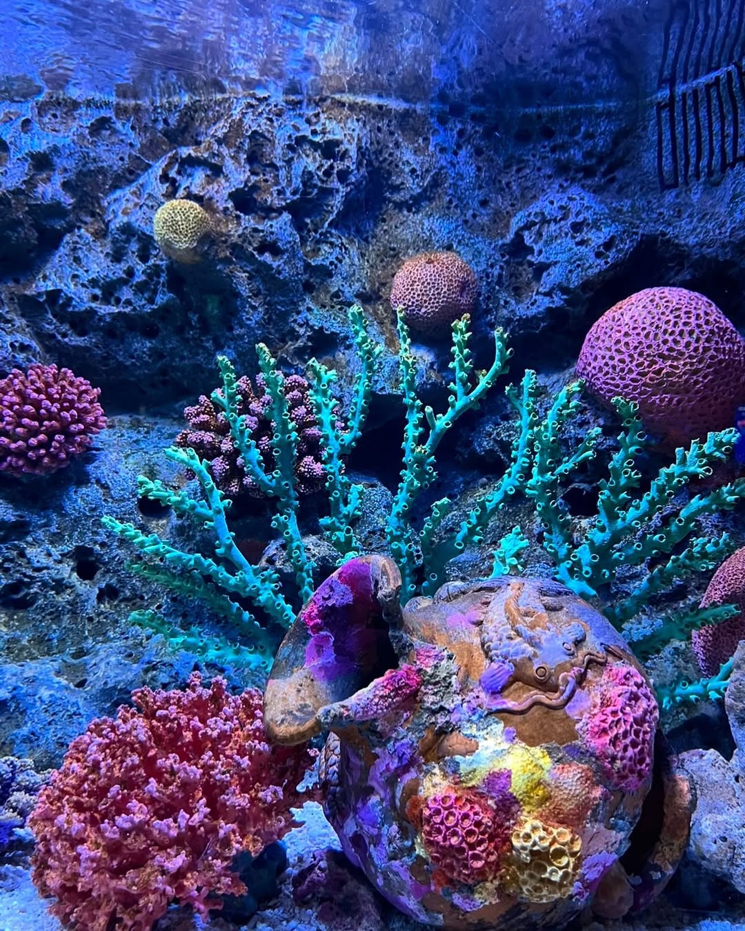 Bangkok - Sea life bangkok Ocen world