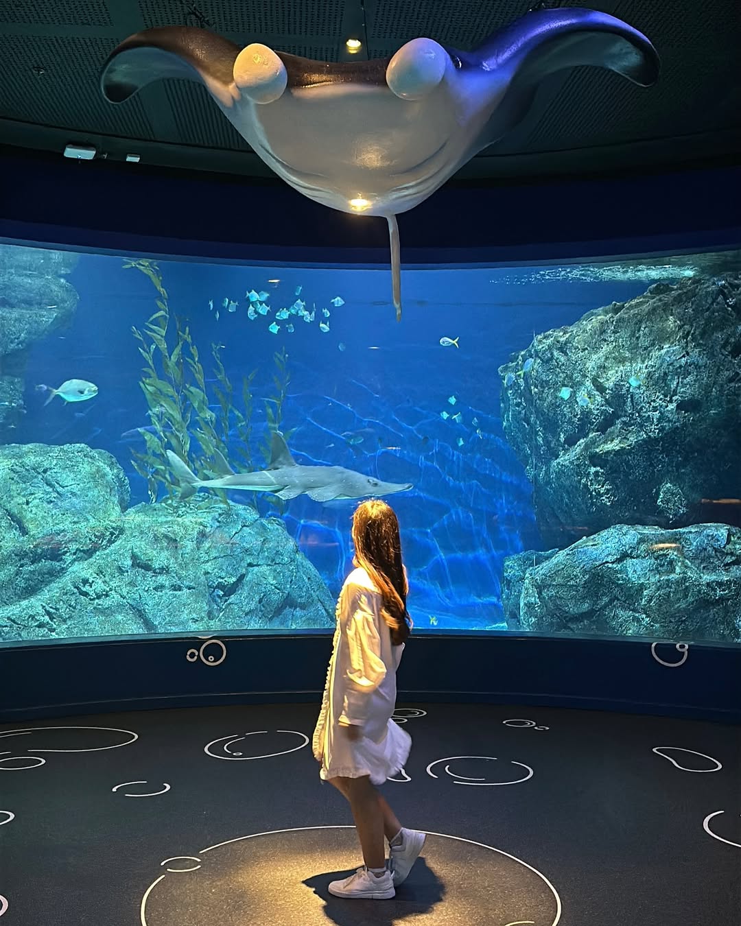 Bangkok – Sea life Aquarium & Madame Tussauds