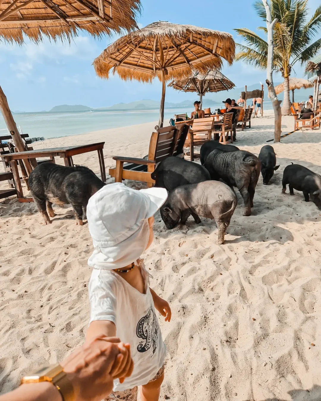 Koh Samui - 2 Island Tour SIC