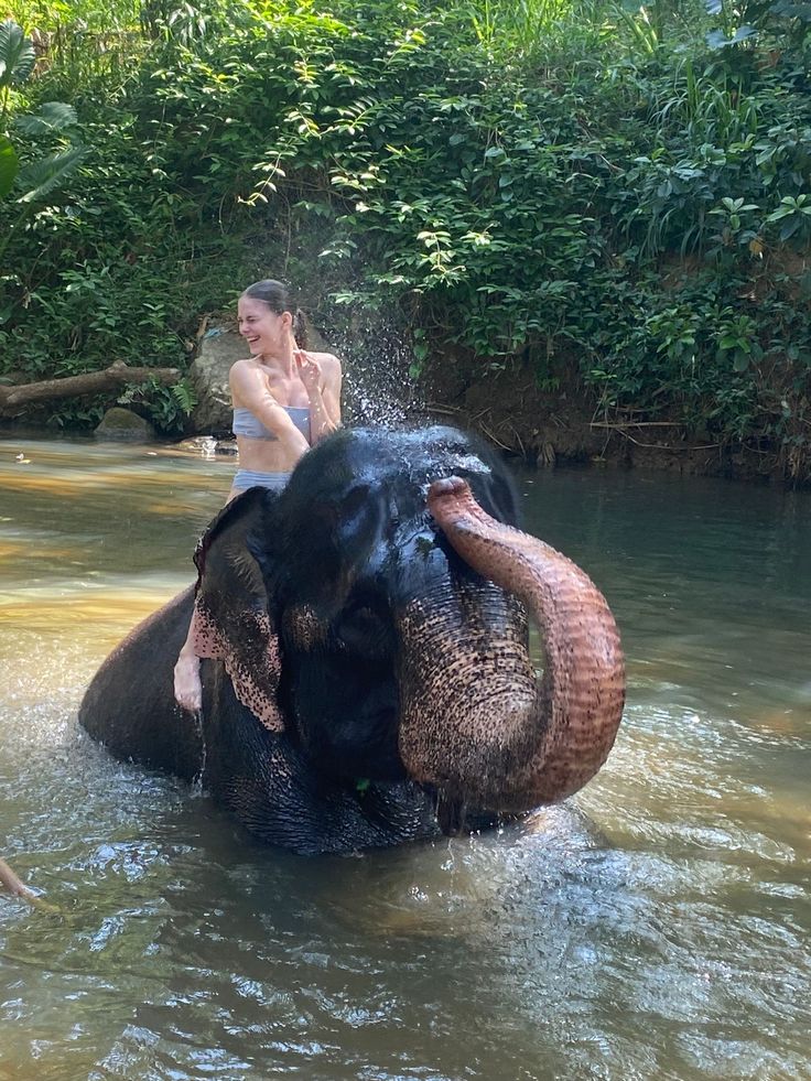 Koh Samui: Elephant Jungle Sanctuary