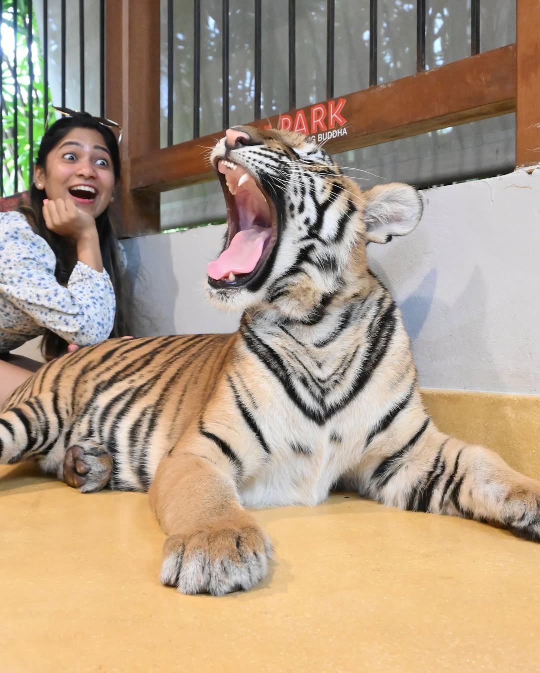 Phuket – Tiger Park