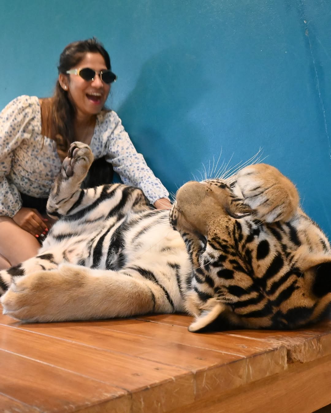 Phuket – Tiger Park