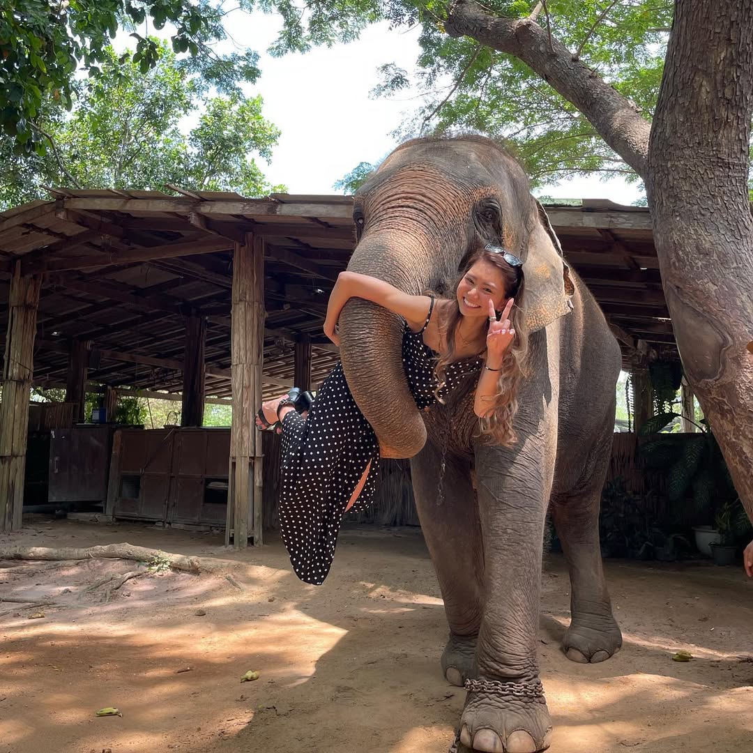 Pattaya - Elephant Village