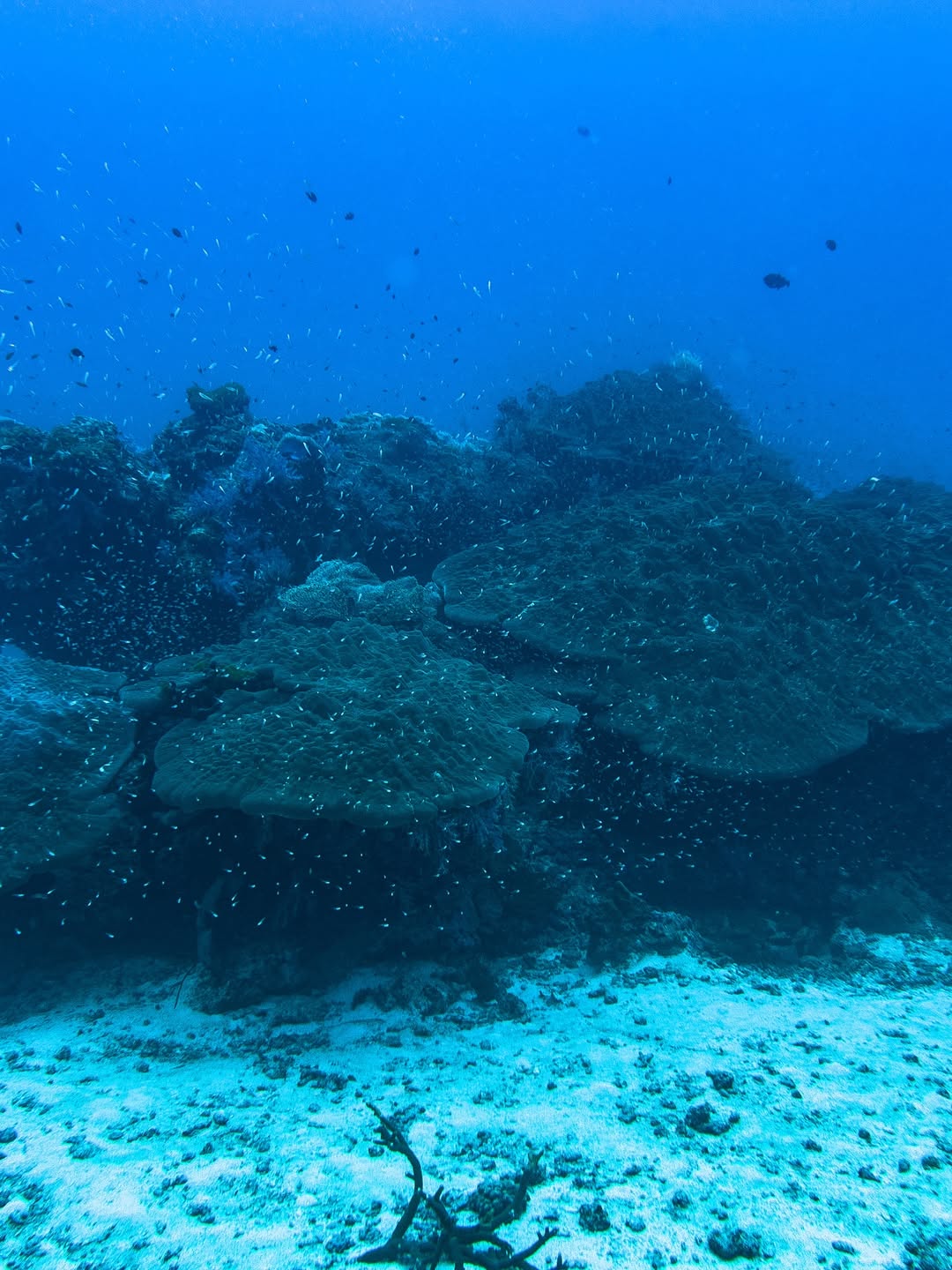 Phuket - Similan Island