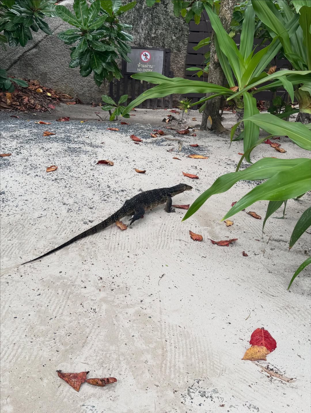 Phuket - Similan Island