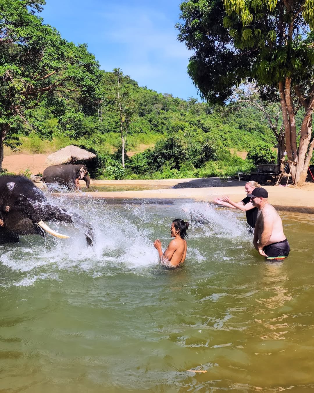 Pattaya - Elephant Jungle Sanctuary Half-Day Tour + Lunch
