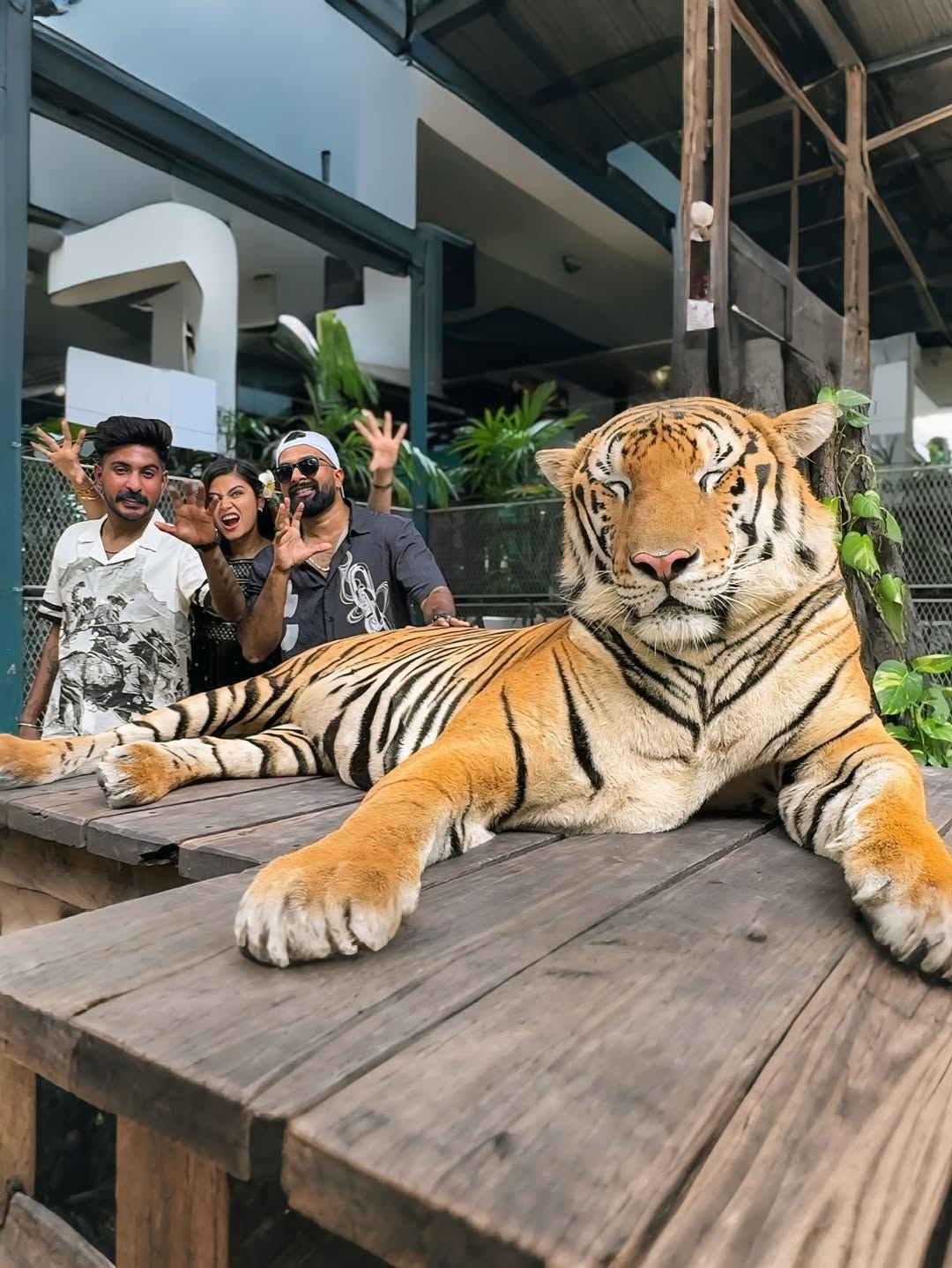 Phuket – Tiger Park