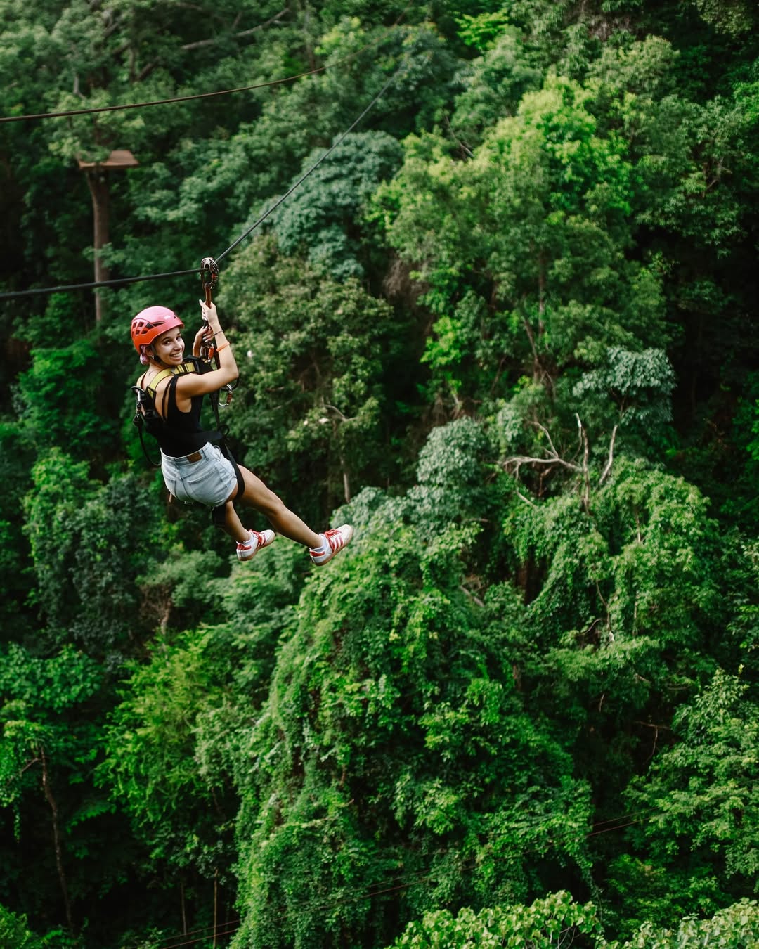 Chiang Mai - Jungle Flight Zipline