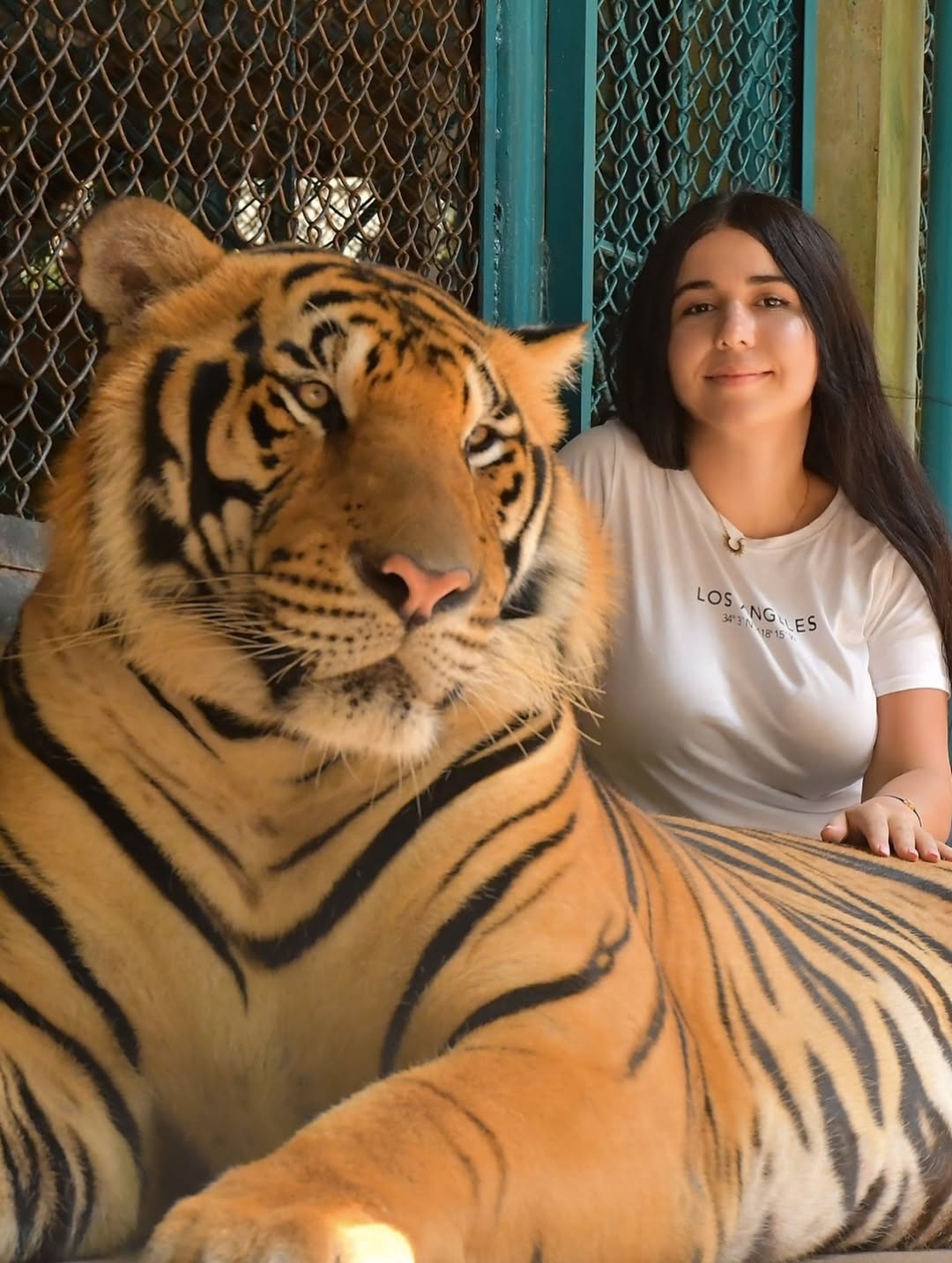 Phuket - Tiger Kingdom