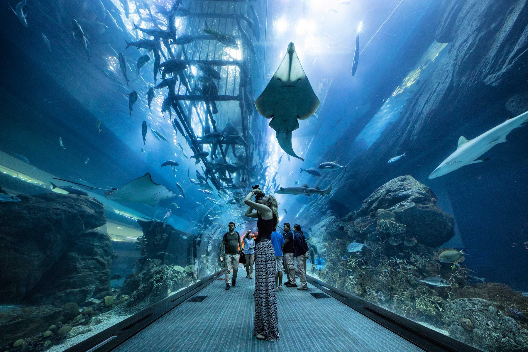 Pattaya – Underwater World