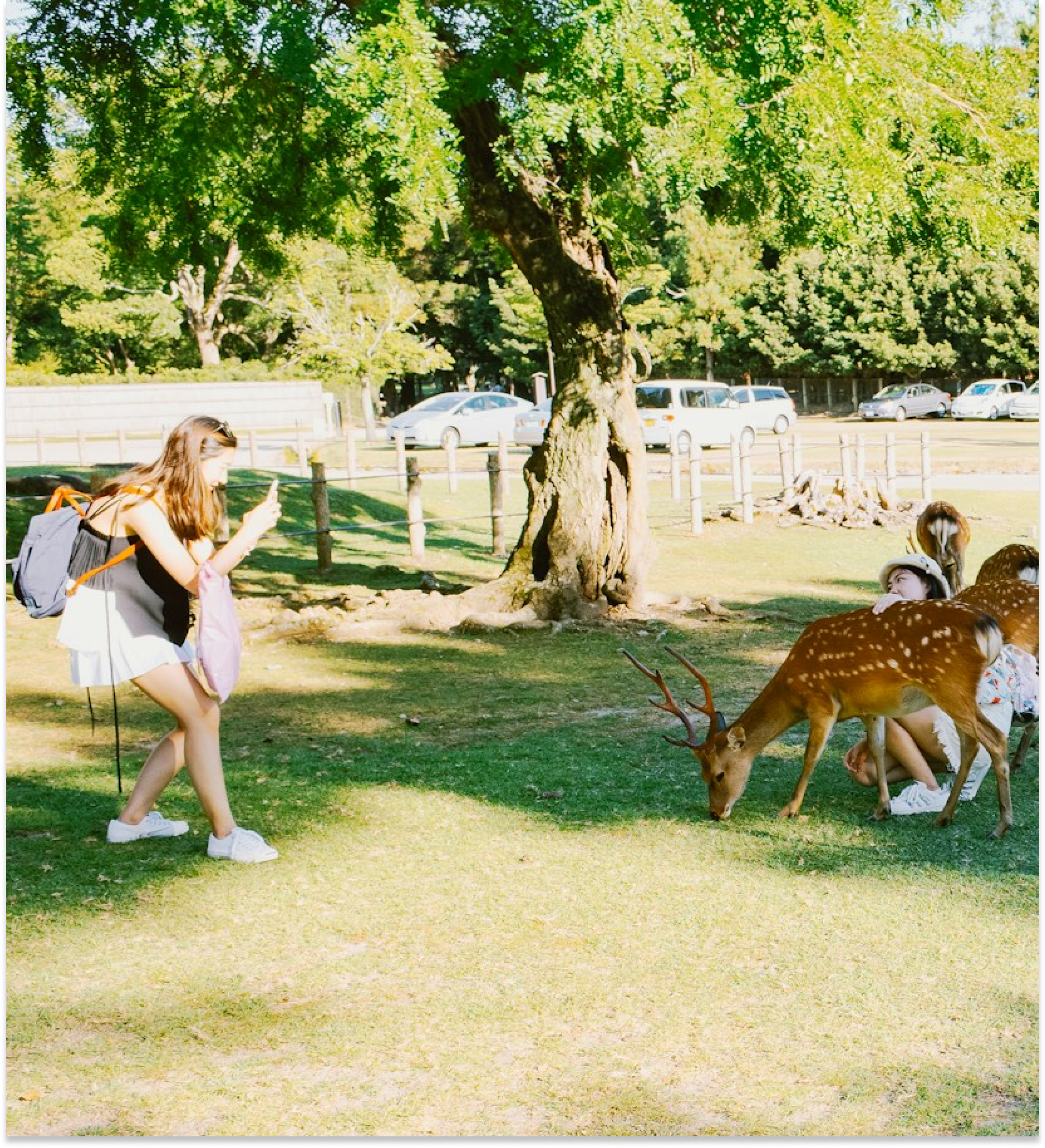 Safari Park Kanchanaburi