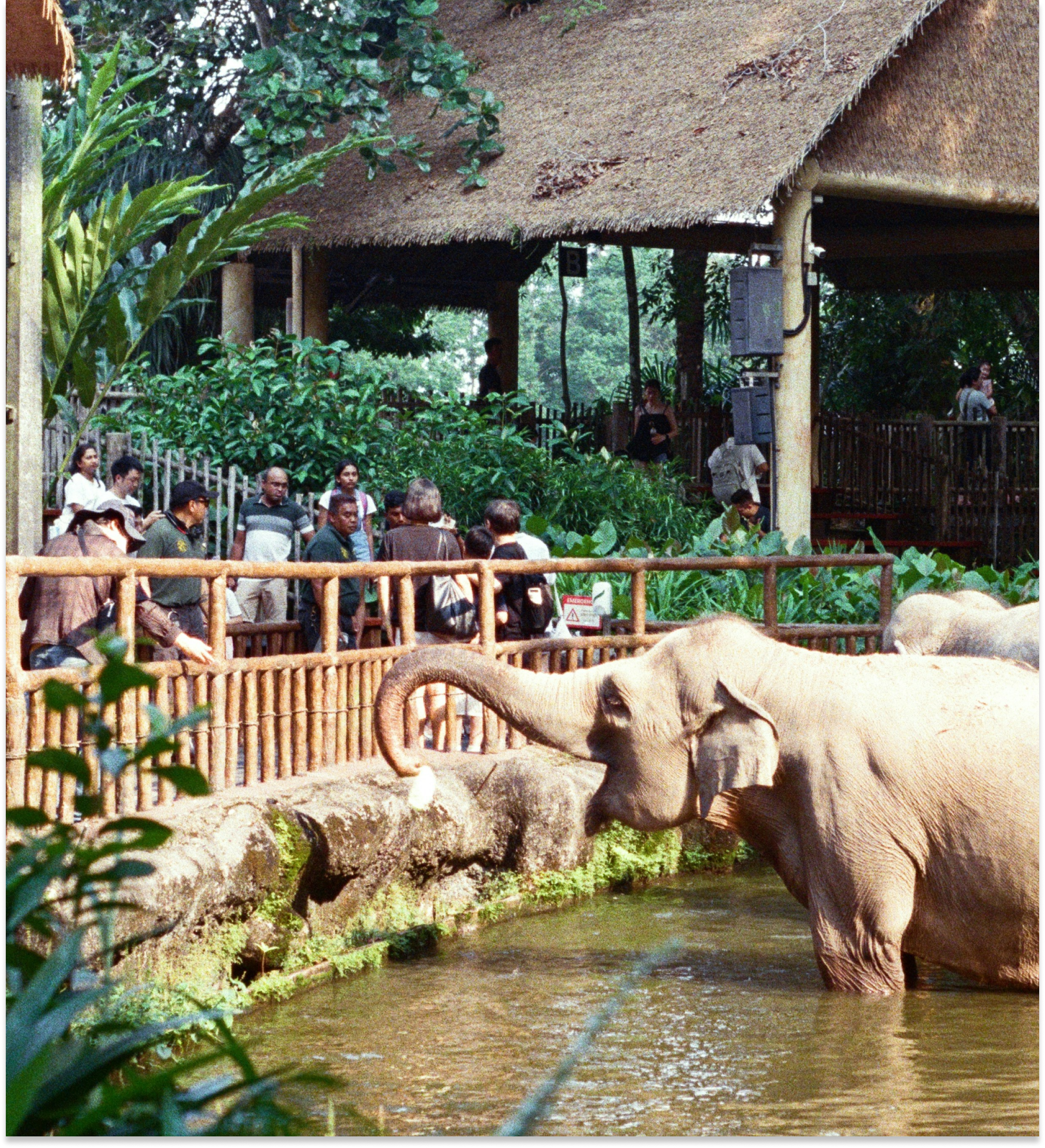 Safari Park Kanchanaburi