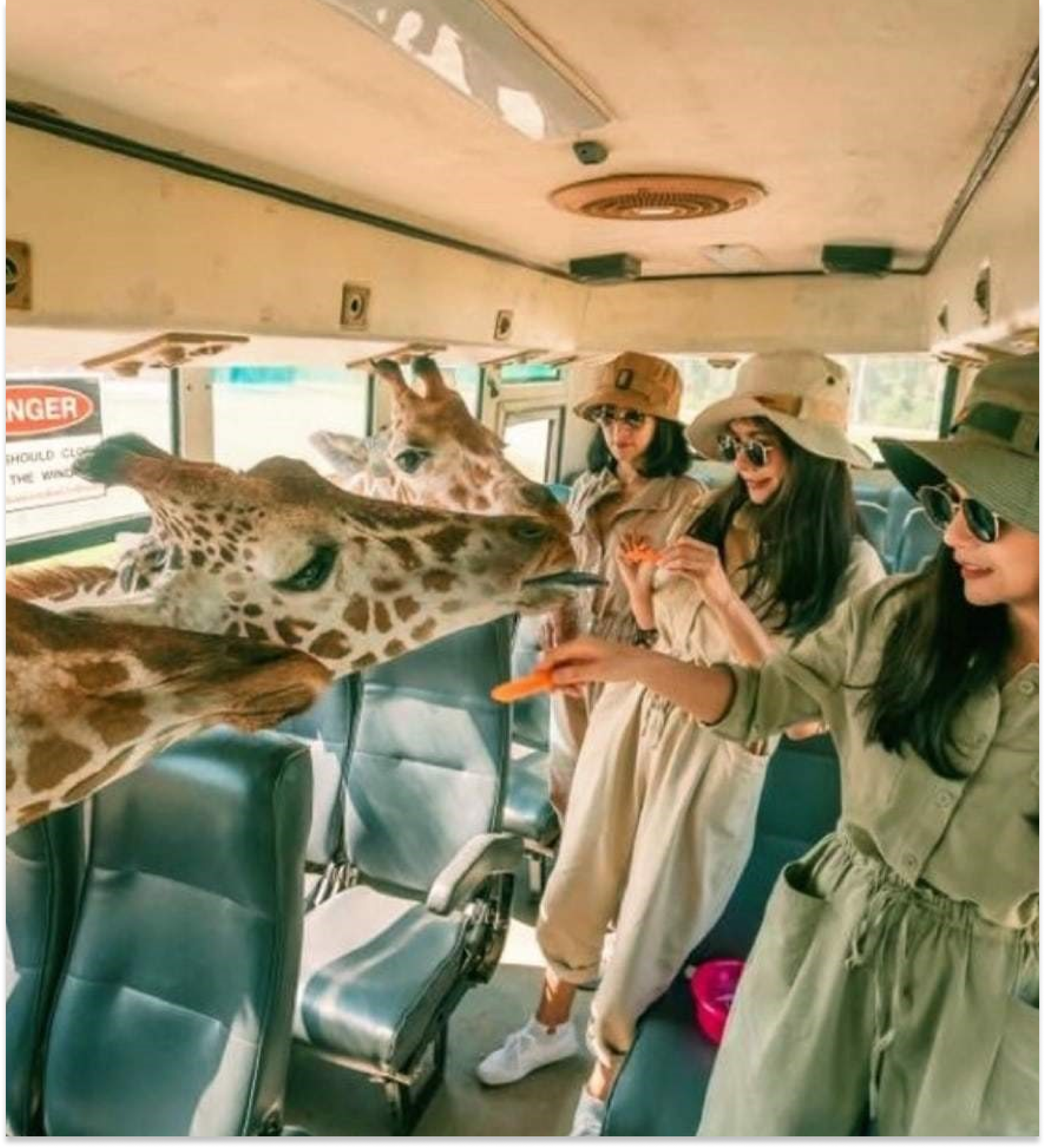 Safari Park Kanchanaburi