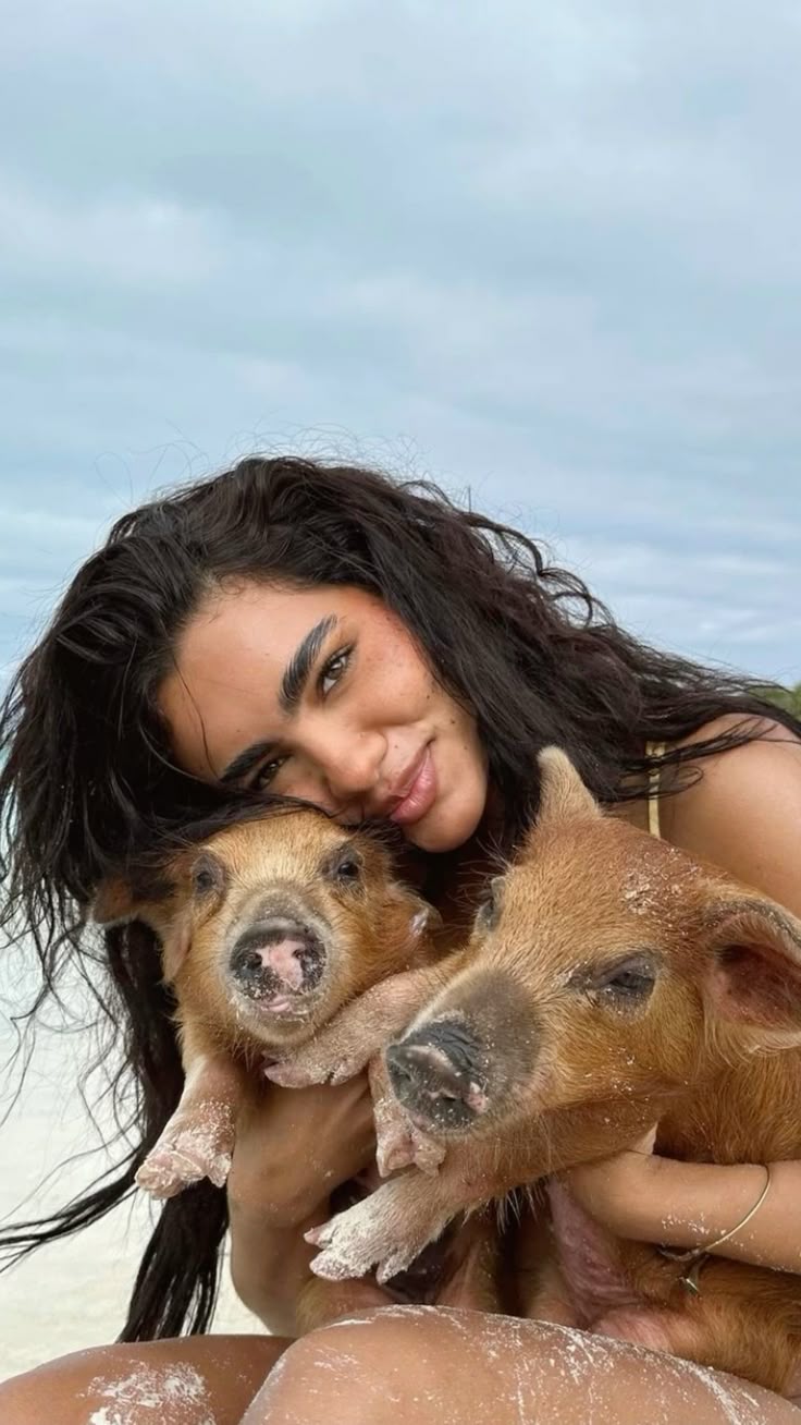 Koh Samui - Pig Island Tour SIC