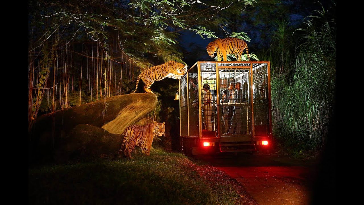 Chiang Mai - Night Safari