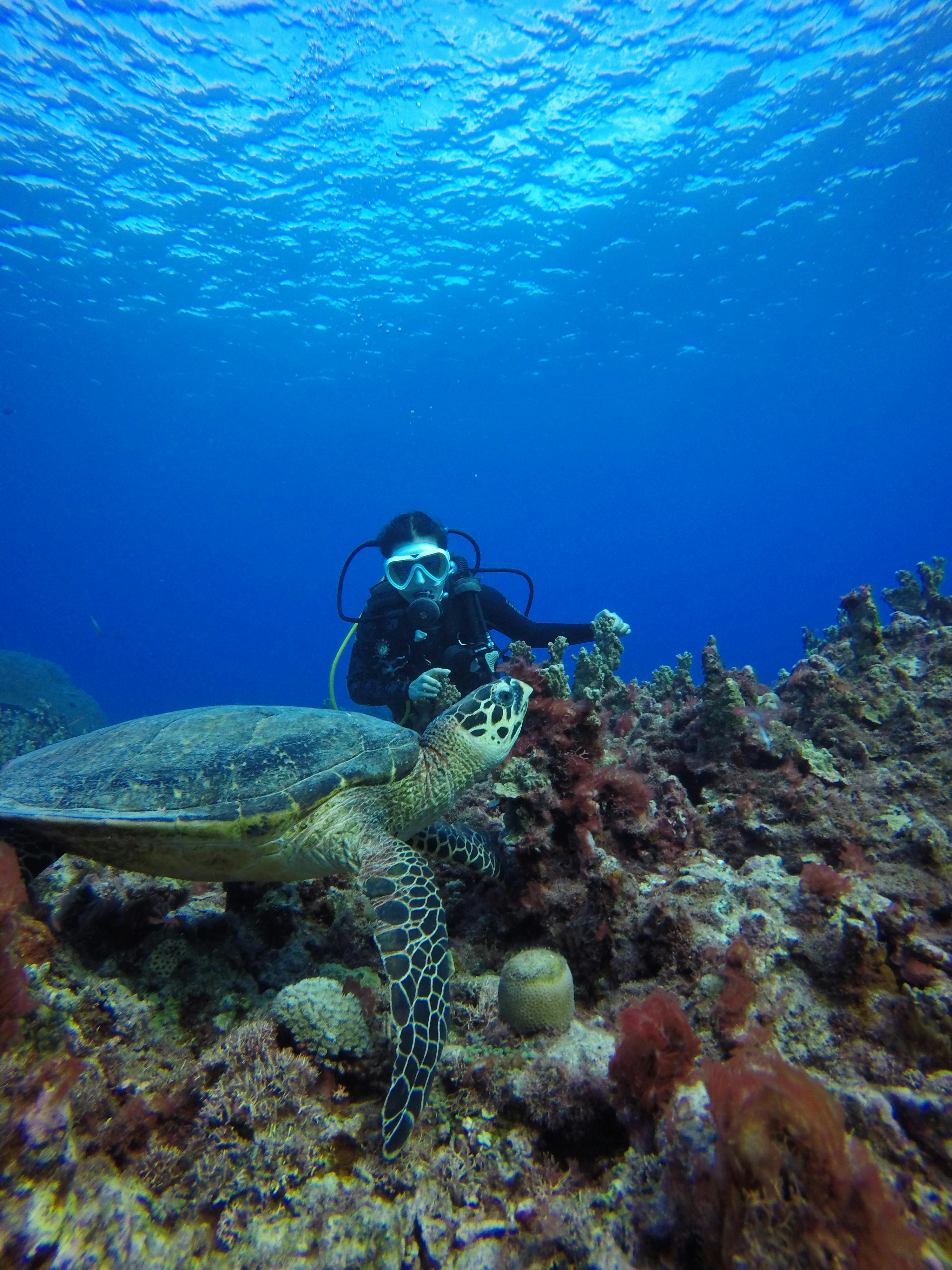 Phuket - Similan Island