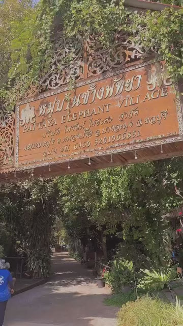 Pattaya - Elephant Village