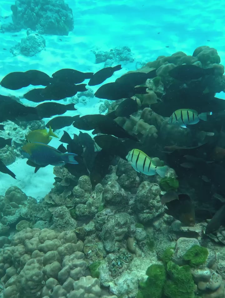 Phuket - Maithon Island