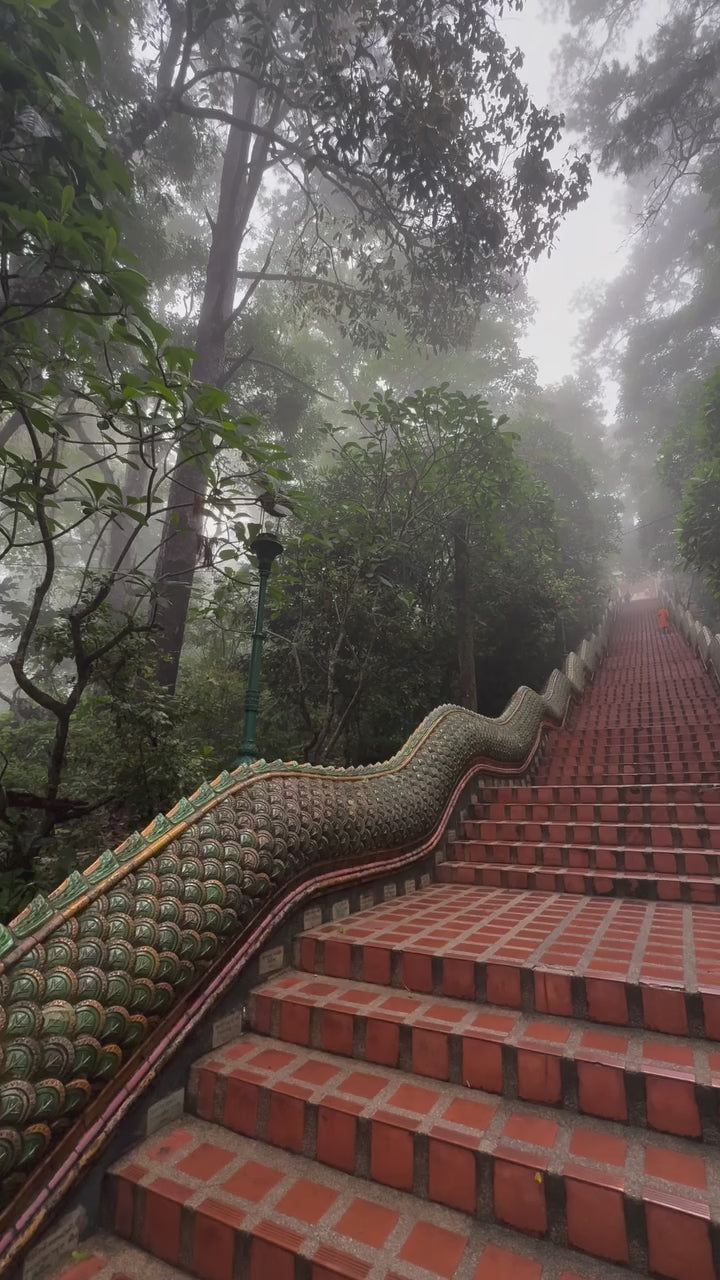 Chiang Mai - Doi Suthep Temple and Hmong Hill Tribe SIC Tour