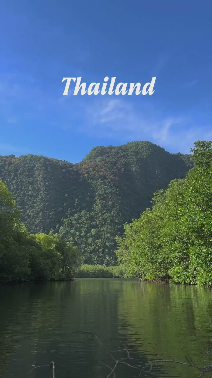 Krabi - Kayaking Adventure Tour at Ao Thalane Mangrove Forest