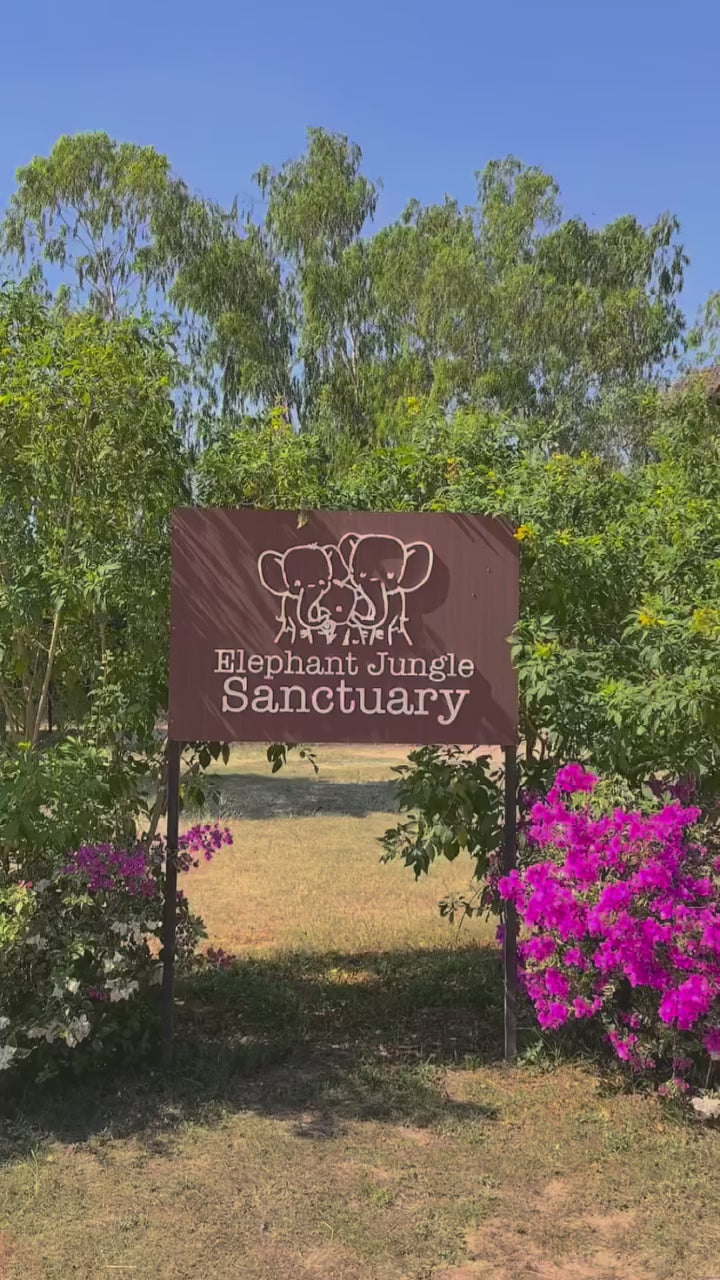 Pattaya - Elephant Jungle Sanctuary Half-Day Tour + Lunch